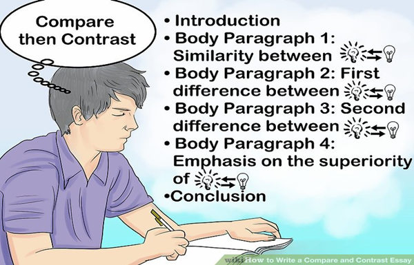 compare and contrast essay2
